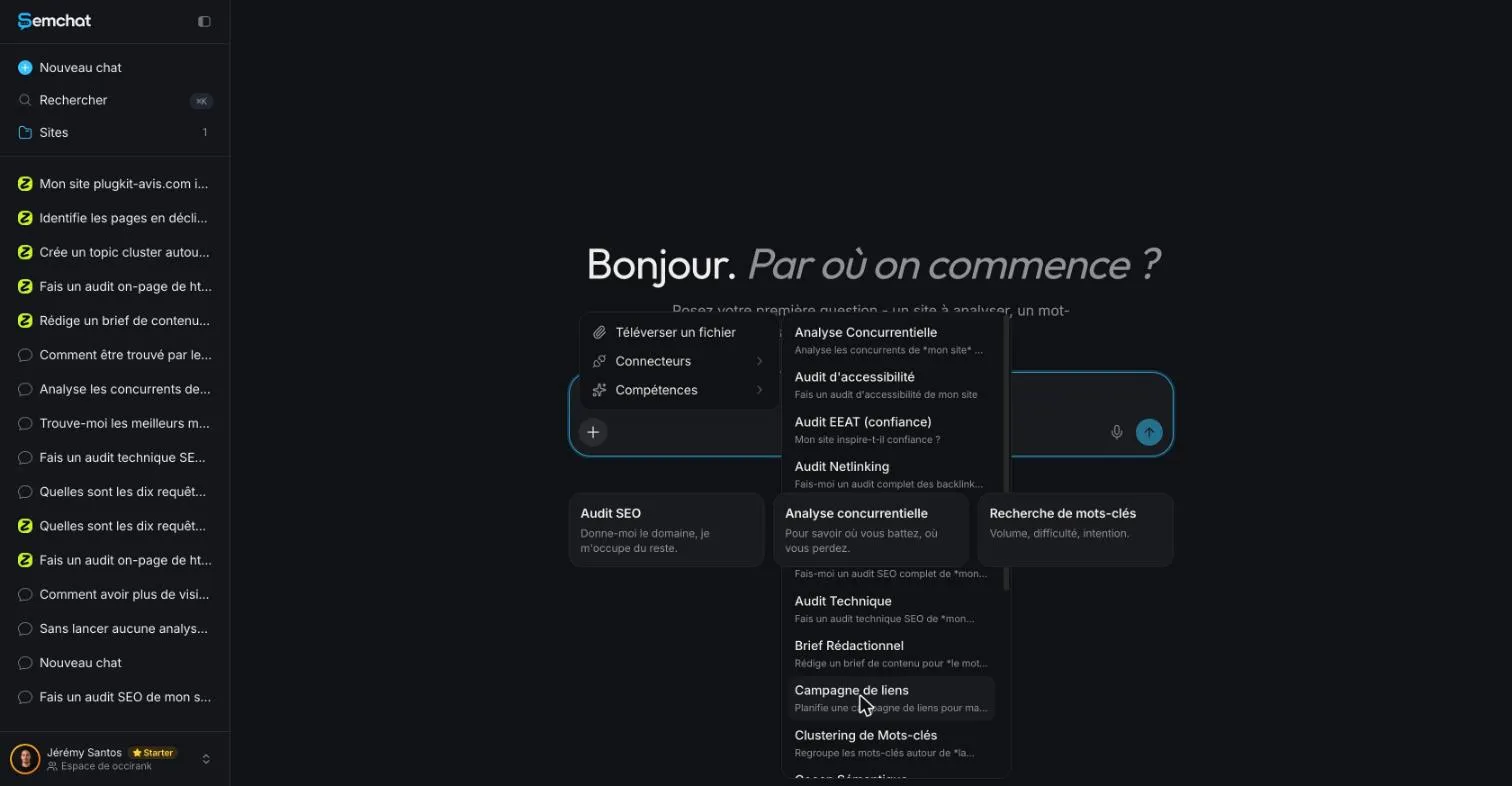 SemChat skills menu showing the Audit Netlinking entry and its sample sentence