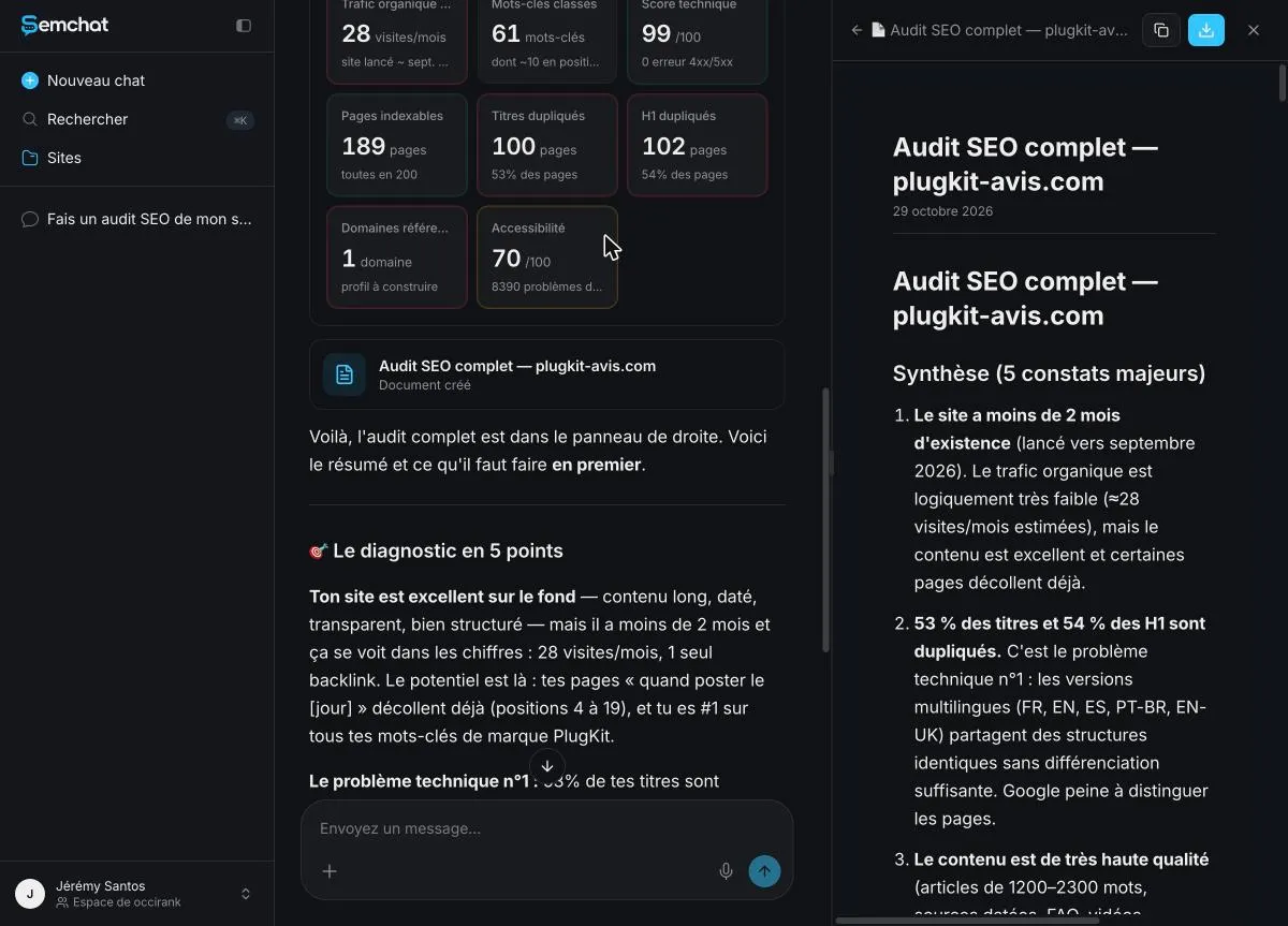 Full audit document opened in a side panel with copy and download buttons