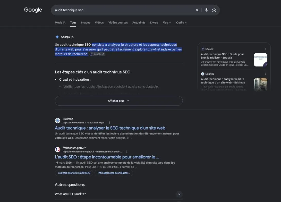 Première page de Google pour la recherche sur l'audit technique du référencement ; légende : Les résultats de Google pour la requête « audit technique SEO »