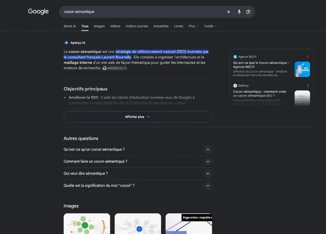 Résultats de Google pour la recherche « cocon sémantique »