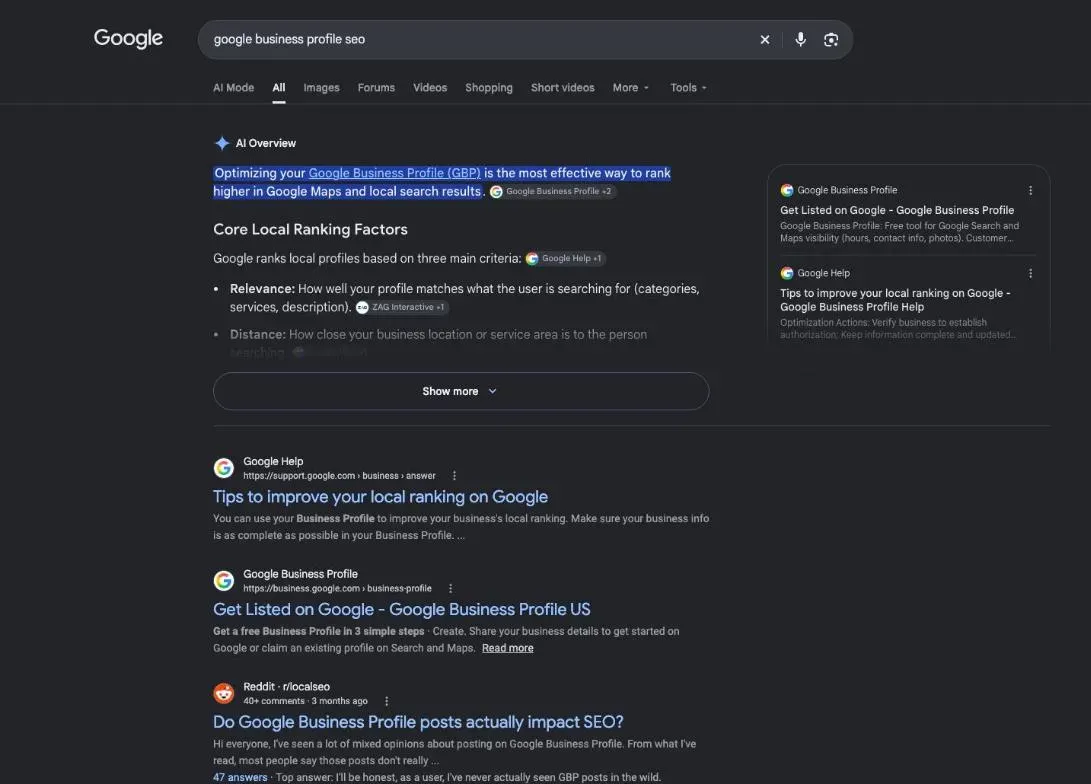 Google results for the search "google business profile seo"