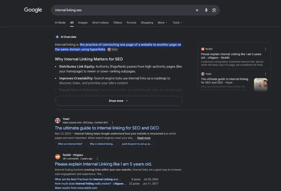 Google results for the search "internal linking seo"