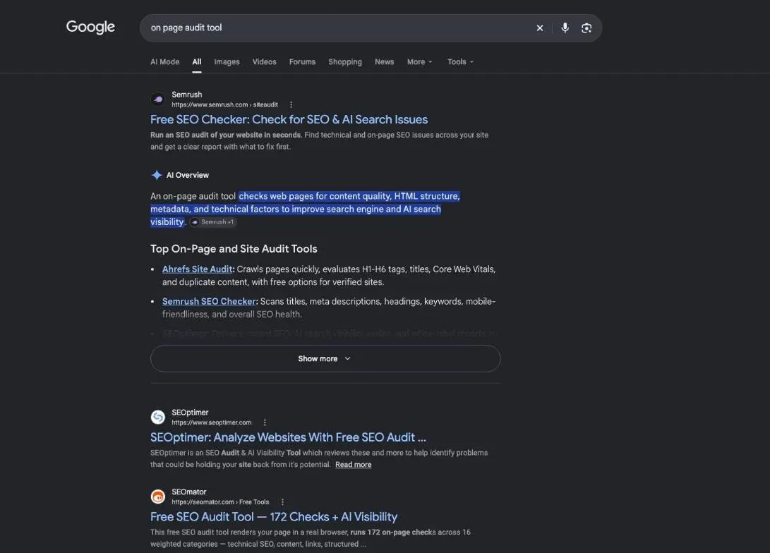 Google results for the search "on page audit tool"