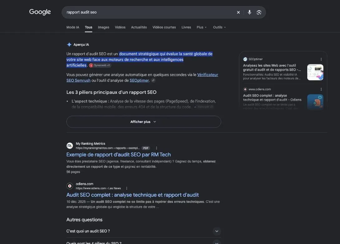 Première page de Google pour la recherche d'un rapport d'audit du référencement